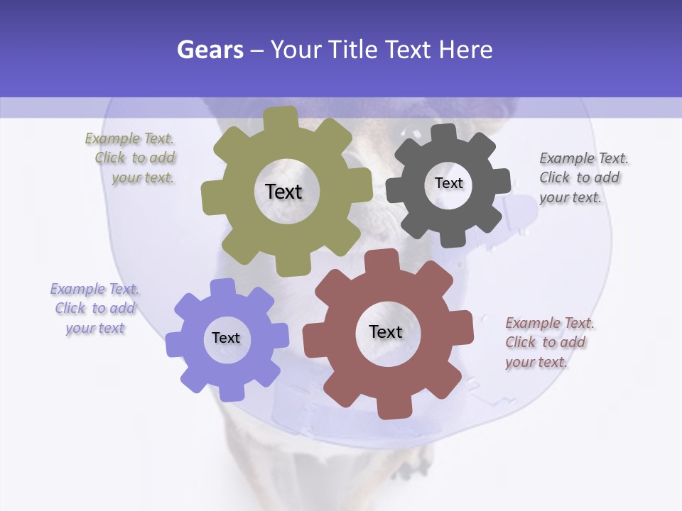 Vertical Breed Alertness PowerPoint Template