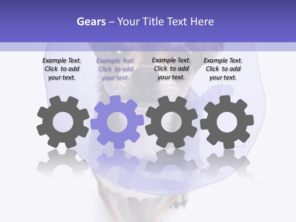 Vertical Breed Alertness PowerPoint Template