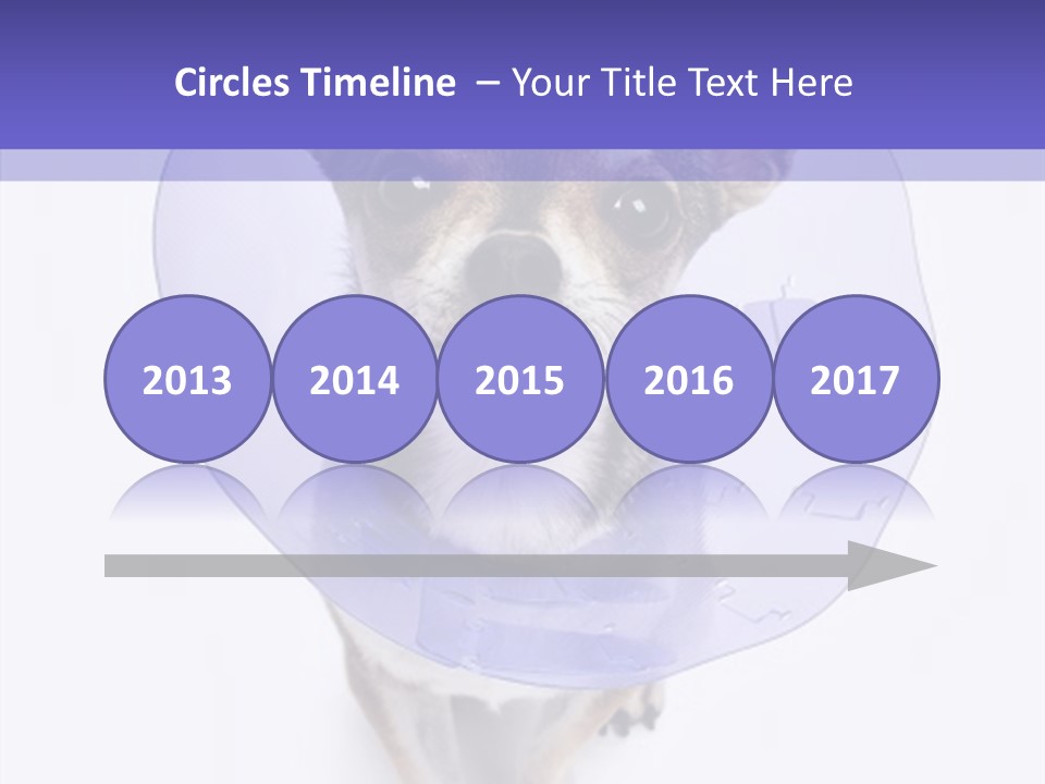 Vertical Breed Alertness PowerPoint Template