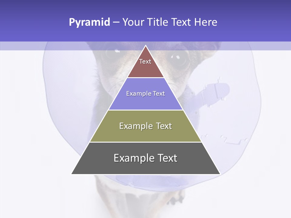 Vertical Breed Alertness PowerPoint Template