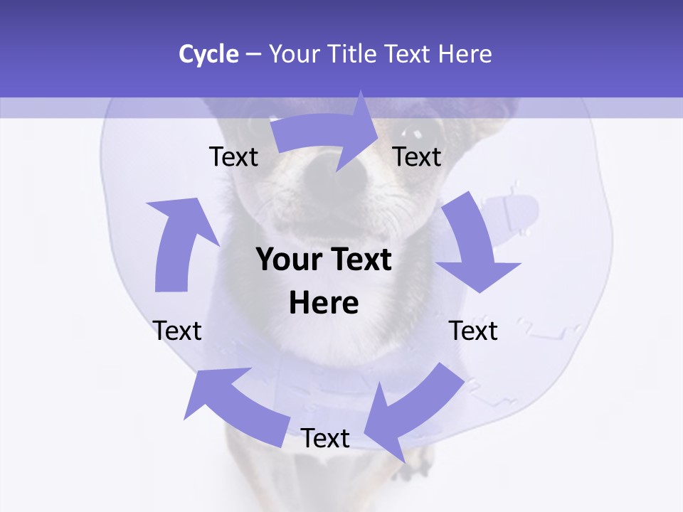 Vertical Breed Alertness PowerPoint Template