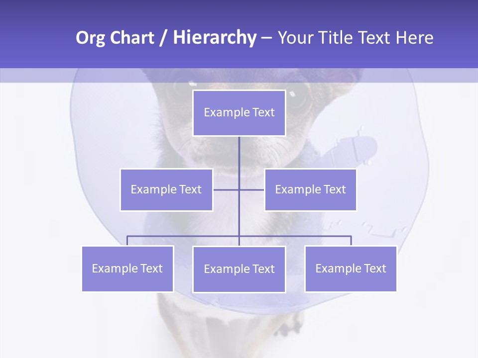 Vertical Breed Alertness PowerPoint Template