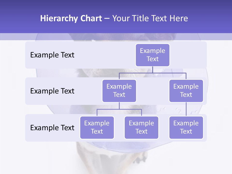 Vertical Breed Alertness PowerPoint Template
