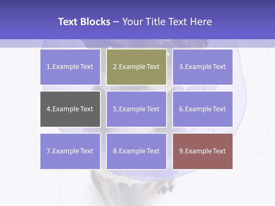 Vertical Breed Alertness PowerPoint Template
