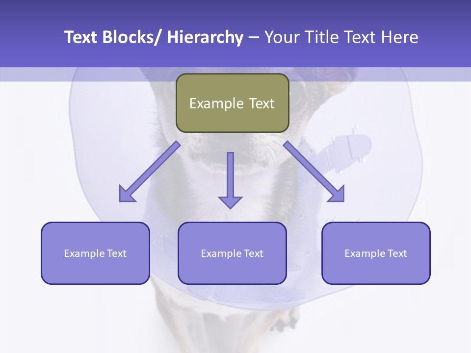Vertical Breed Alertness PowerPoint Template