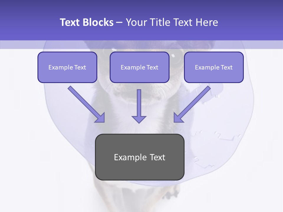 Vertical Breed Alertness PowerPoint Template