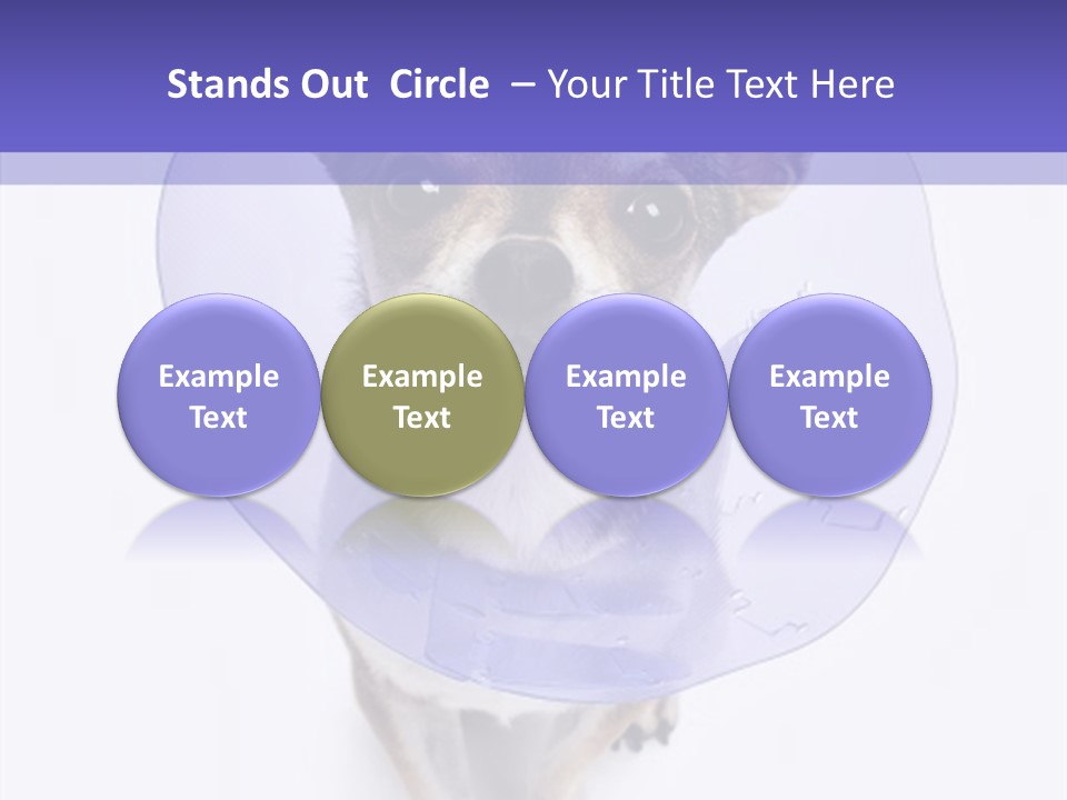 Vertical Breed Alertness PowerPoint Template