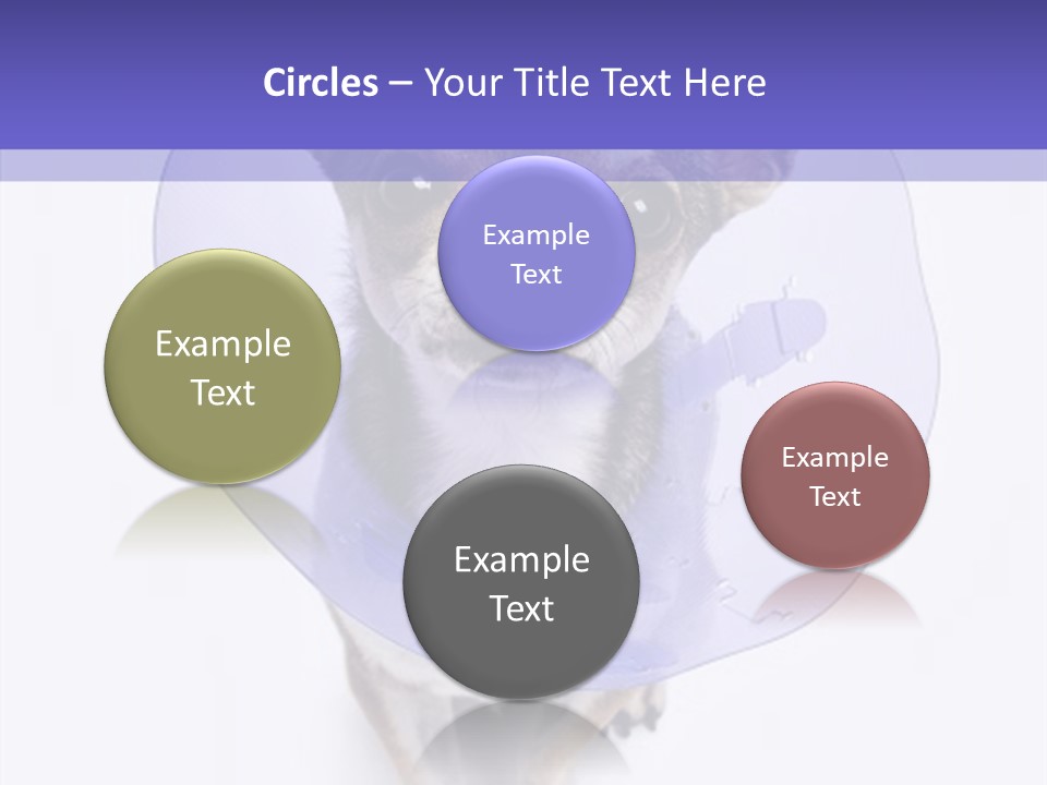 Vertical Breed Alertness PowerPoint Template