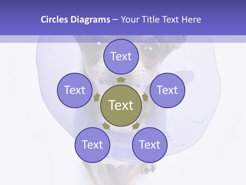 Vertical Breed Alertness PowerPoint Template