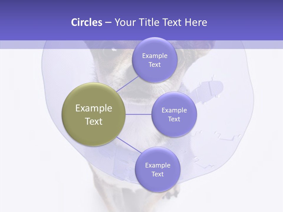 Vertical Breed Alertness PowerPoint Template