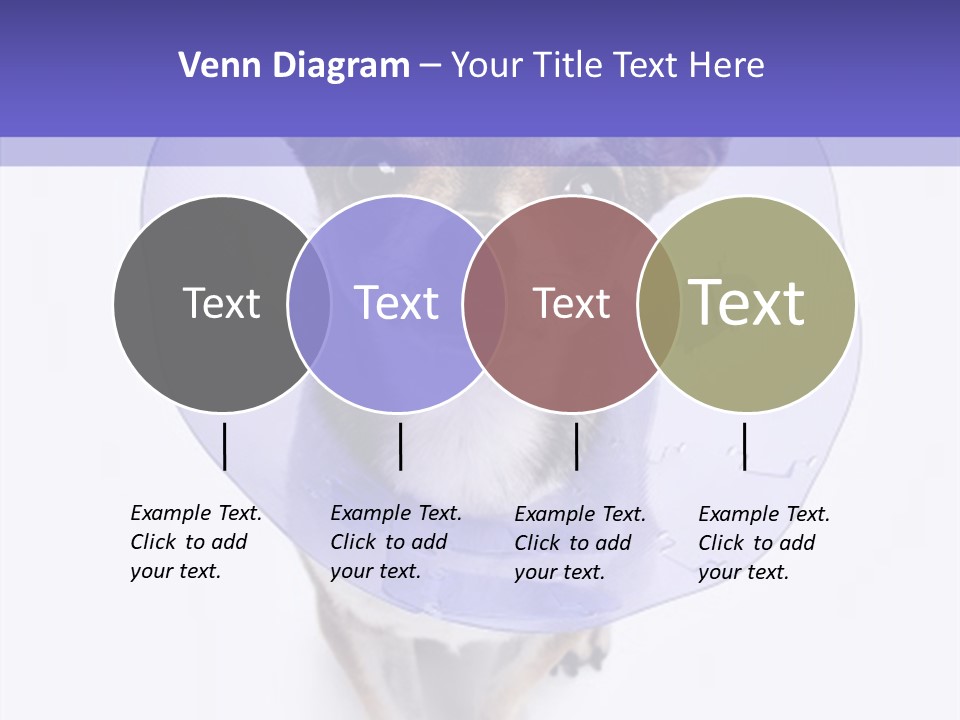 Vertical Breed Alertness PowerPoint Template