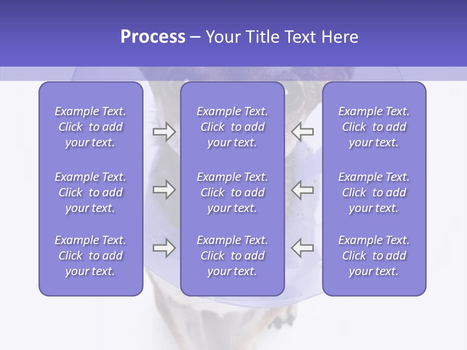 Vertical Breed Alertness PowerPoint Template