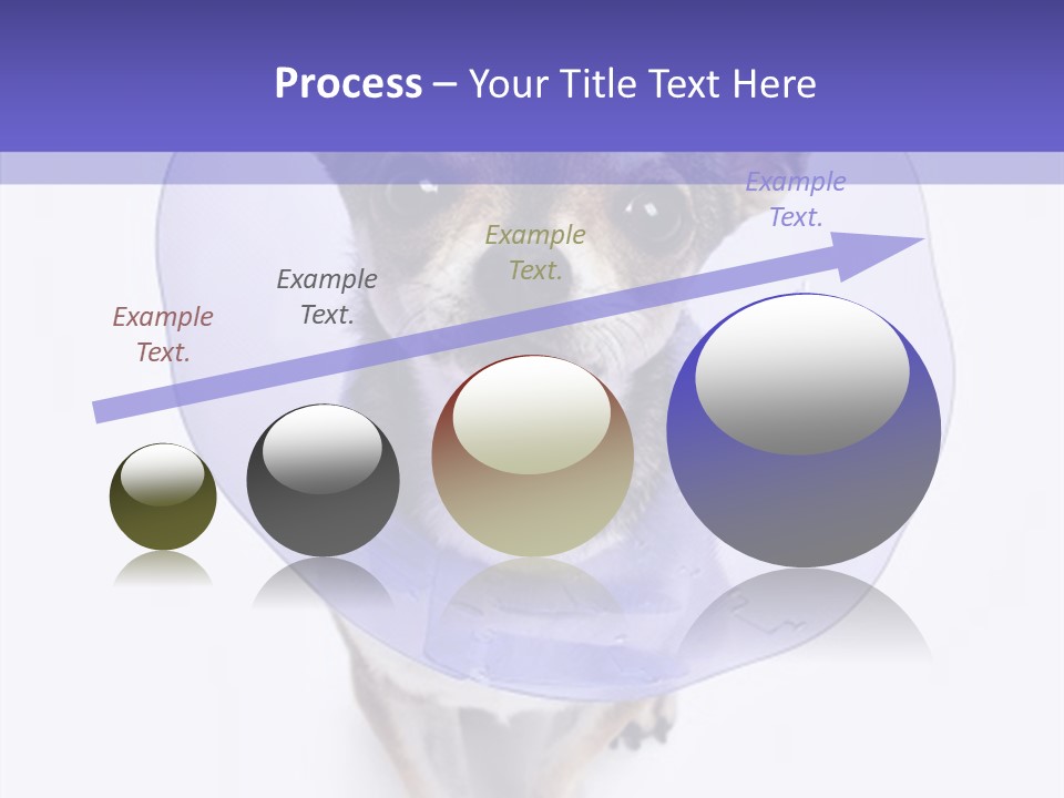 Vertical Breed Alertness PowerPoint Template