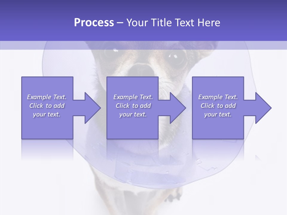 Vertical Breed Alertness PowerPoint Template