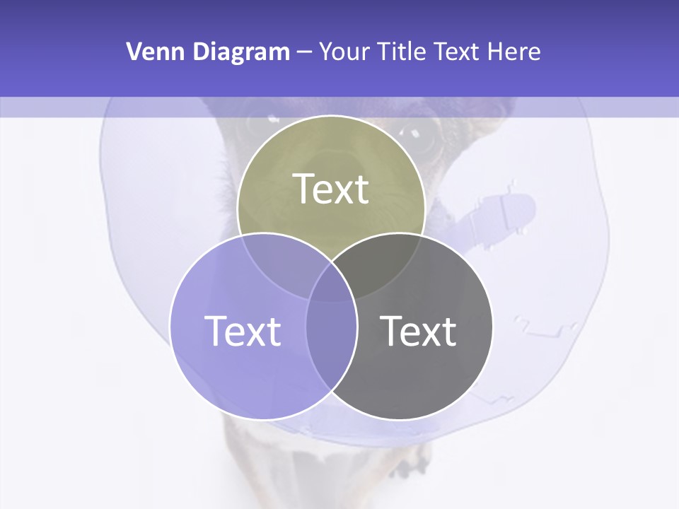 Vertical Breed Alertness PowerPoint Template