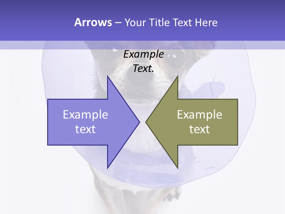 Vertical Breed Alertness PowerPoint Template
