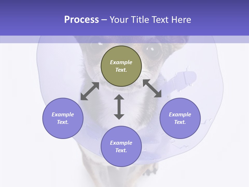 Vertical Breed Alertness PowerPoint Template