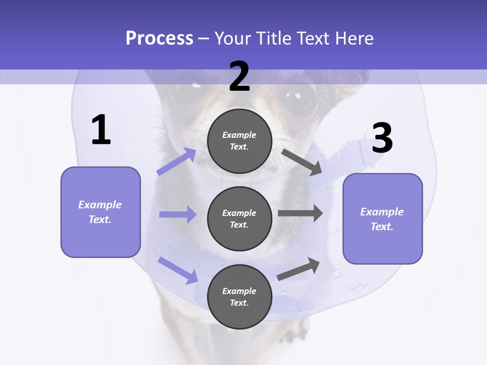 Vertical Breed Alertness PowerPoint Template