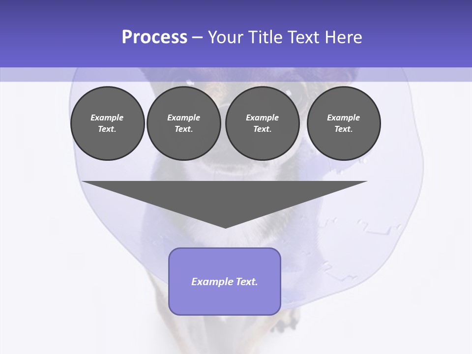 Vertical Breed Alertness PowerPoint Template