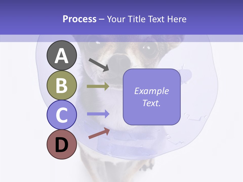 Vertical Breed Alertness PowerPoint Template