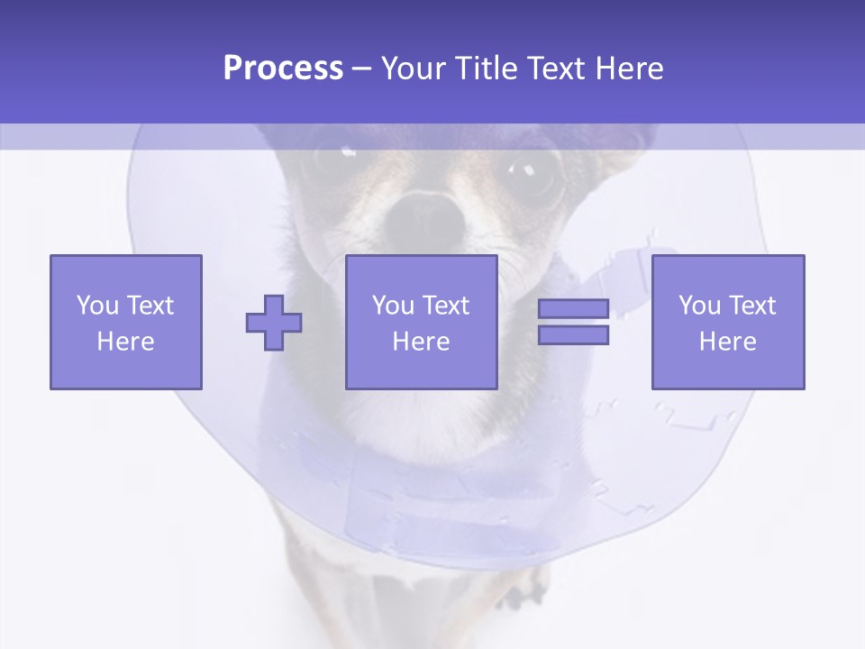 Vertical Breed Alertness PowerPoint Template