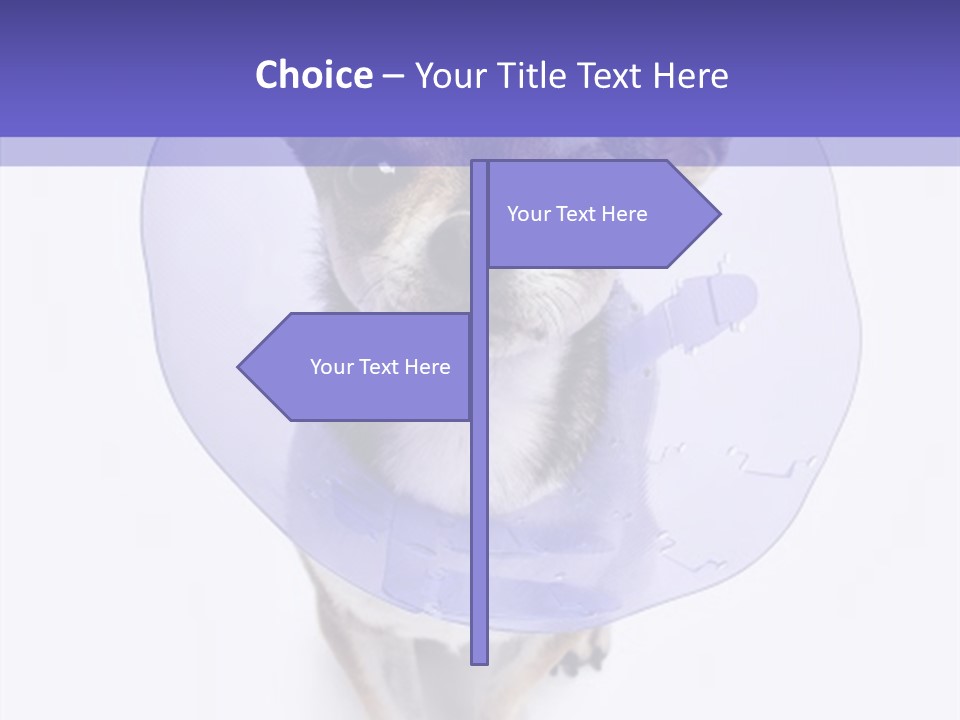 Vertical Breed Alertness PowerPoint Template