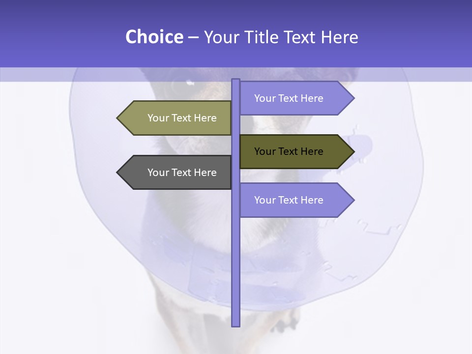 Vertical Breed Alertness PowerPoint Template