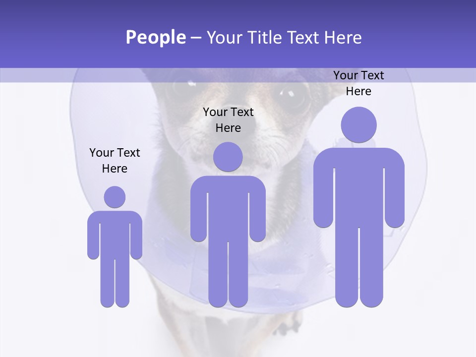 Vertical Breed Alertness PowerPoint Template