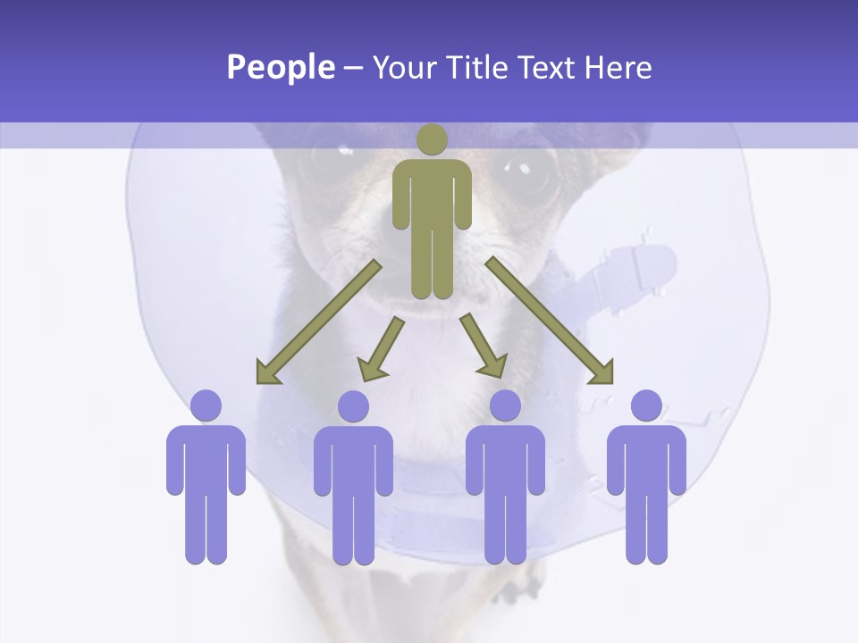 Vertical Breed Alertness PowerPoint Template