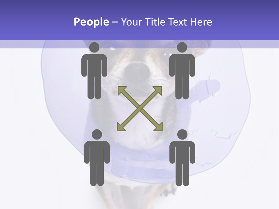 Vertical Breed Alertness PowerPoint Template