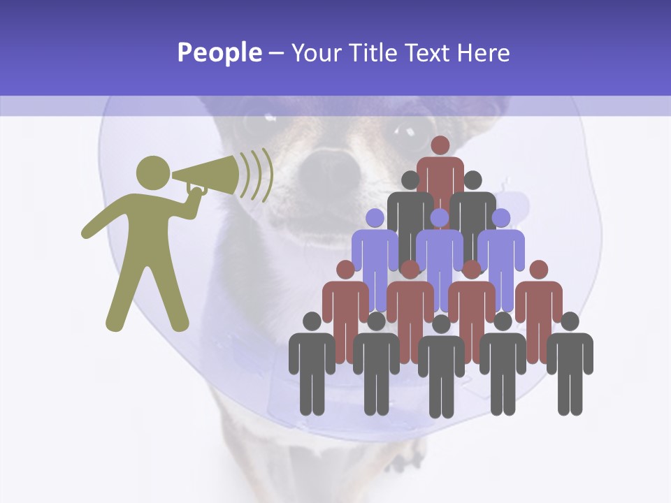 Vertical Breed Alertness PowerPoint Template