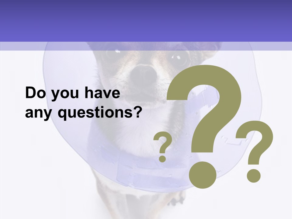 Vertical Breed Alertness PowerPoint Template