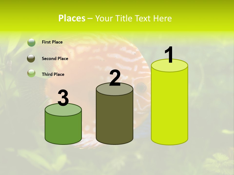 Underwater Wild White PowerPoint Template