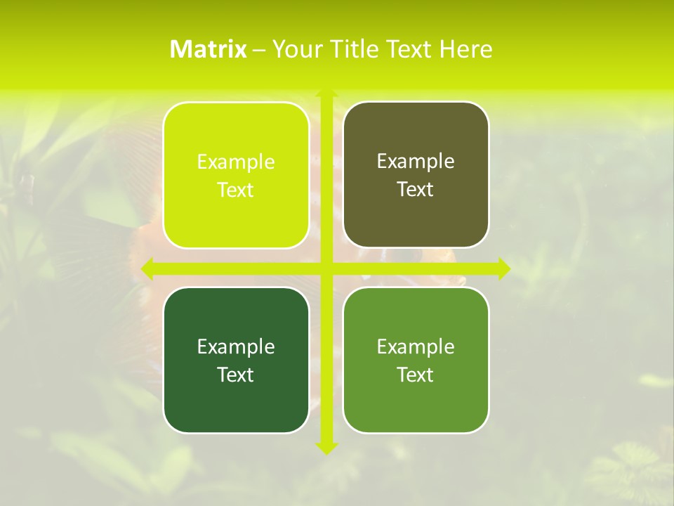 Underwater Wild White PowerPoint Template