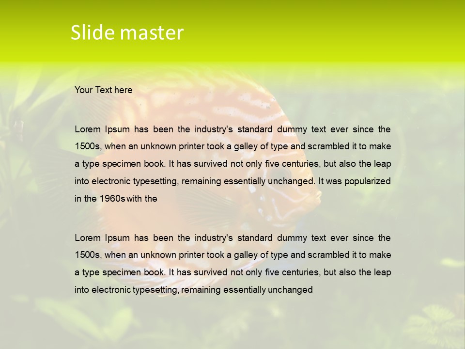 Underwater Wild White PowerPoint Template