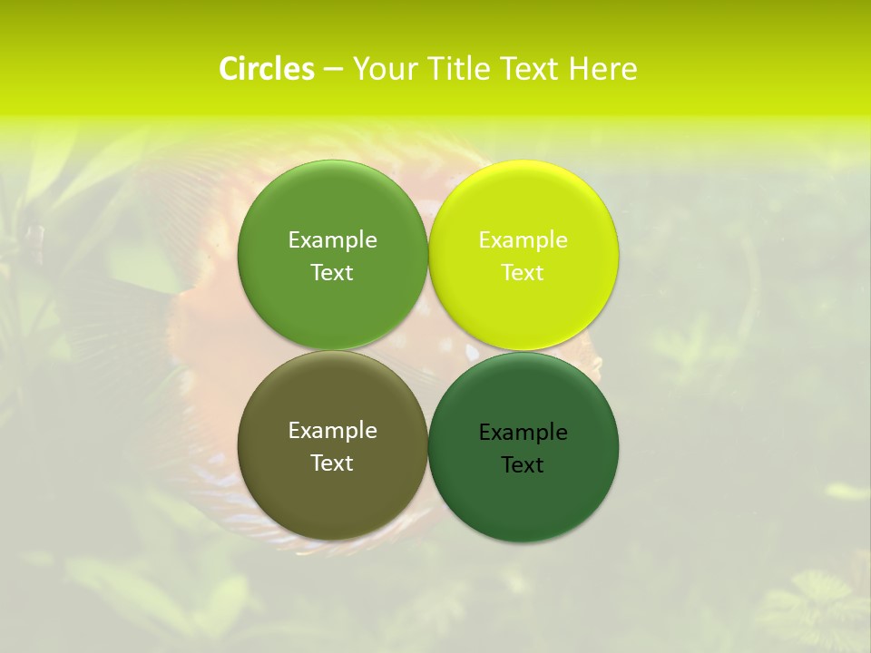 Underwater Wild White PowerPoint Template