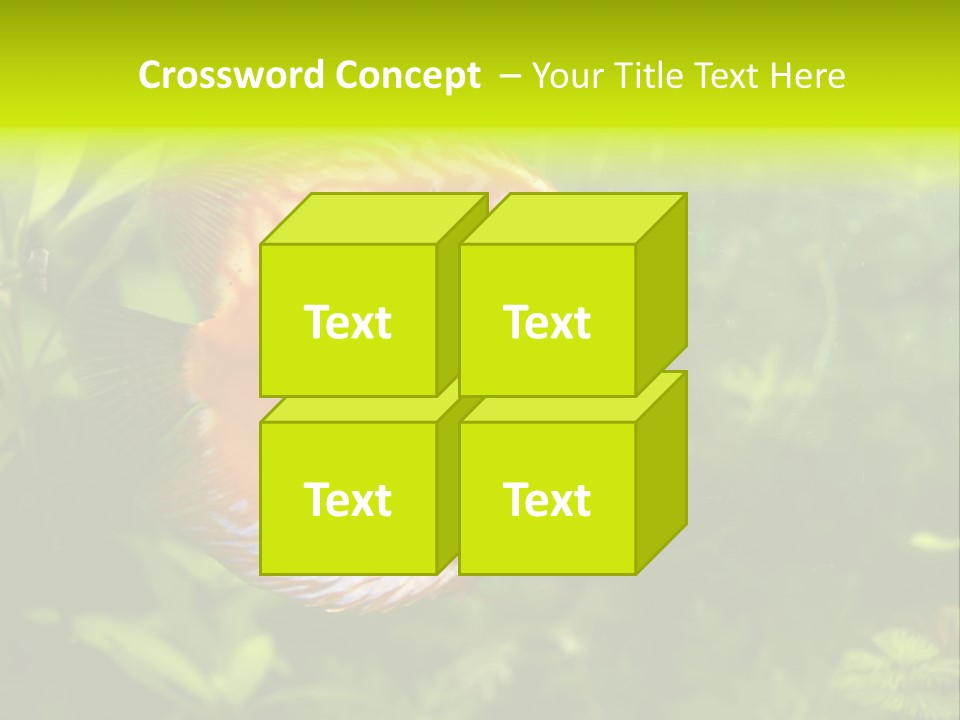 Underwater Wild White PowerPoint Template