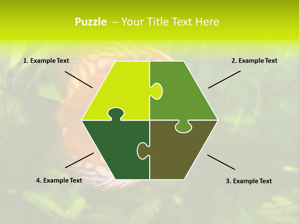 Underwater Wild White PowerPoint Template