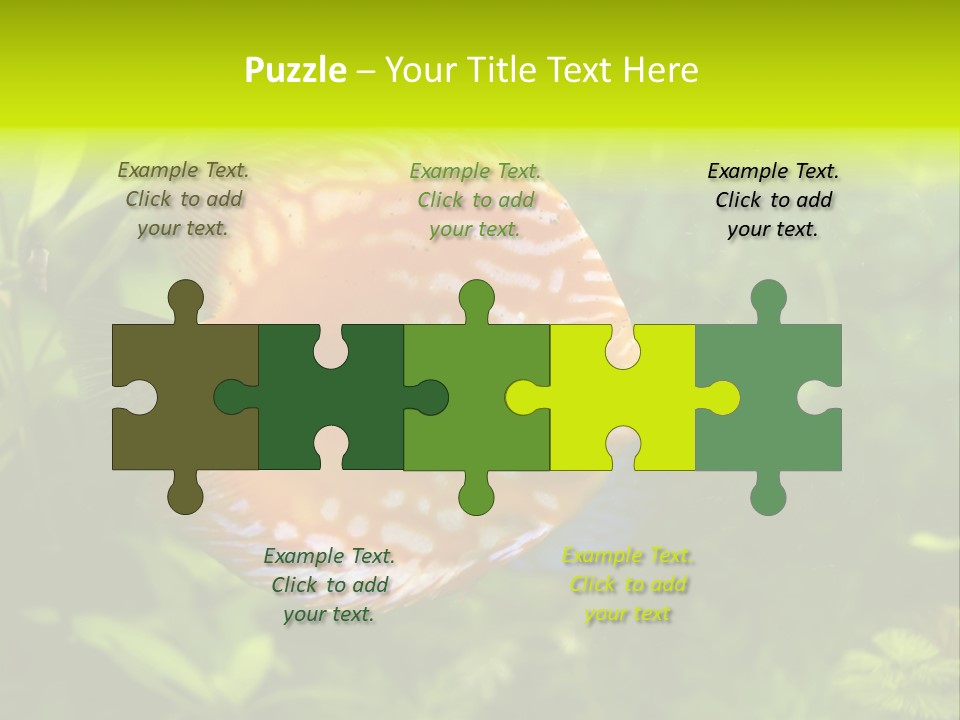 Underwater Wild White PowerPoint Template