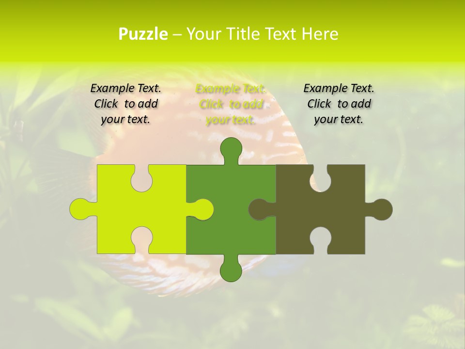 Underwater Wild White PowerPoint Template