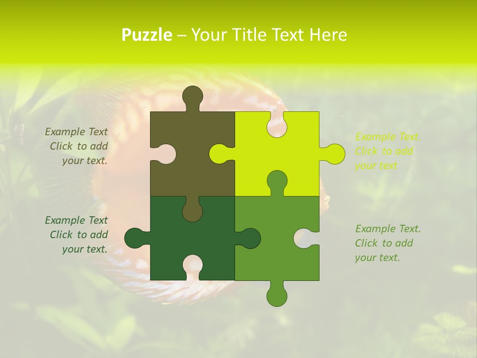 Underwater Wild White PowerPoint Template