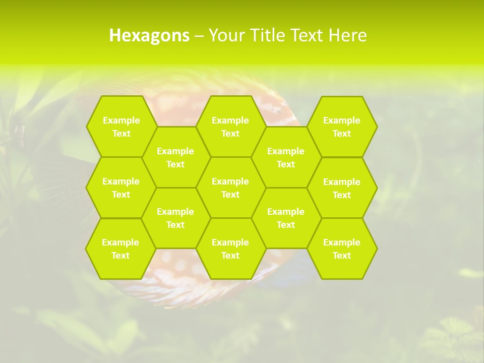 Underwater Wild White PowerPoint Template