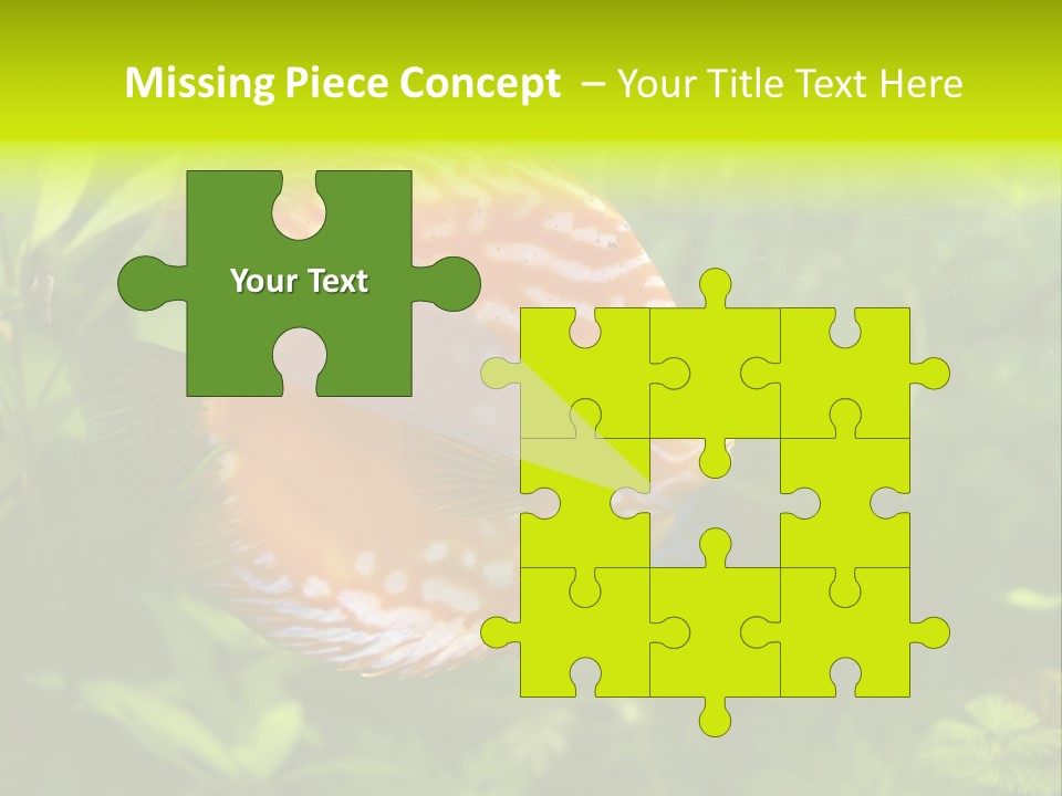 Underwater Wild White PowerPoint Template