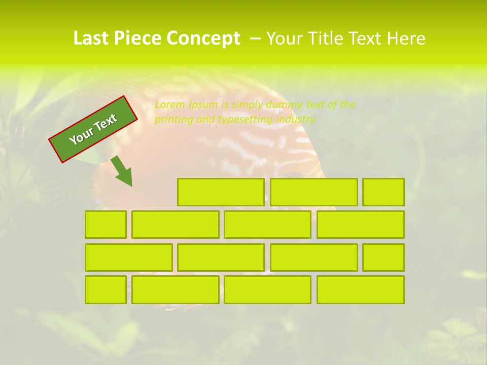 Underwater Wild White PowerPoint Template