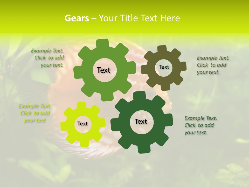 Underwater Wild White PowerPoint Template