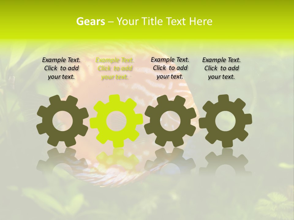 Underwater Wild White PowerPoint Template