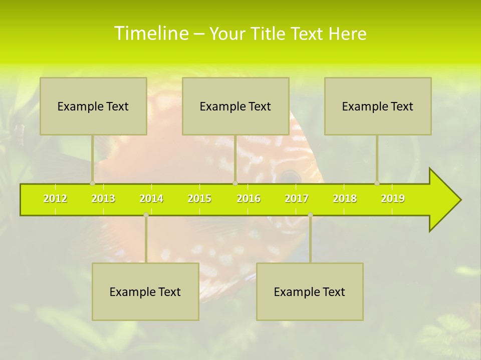 Underwater Wild White PowerPoint Template