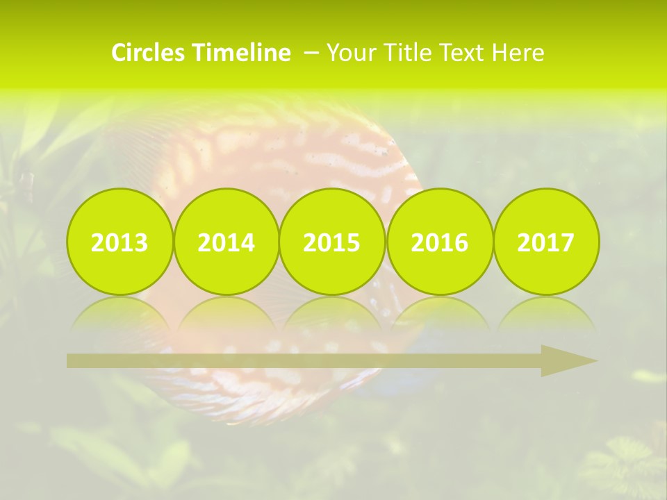 Underwater Wild White PowerPoint Template