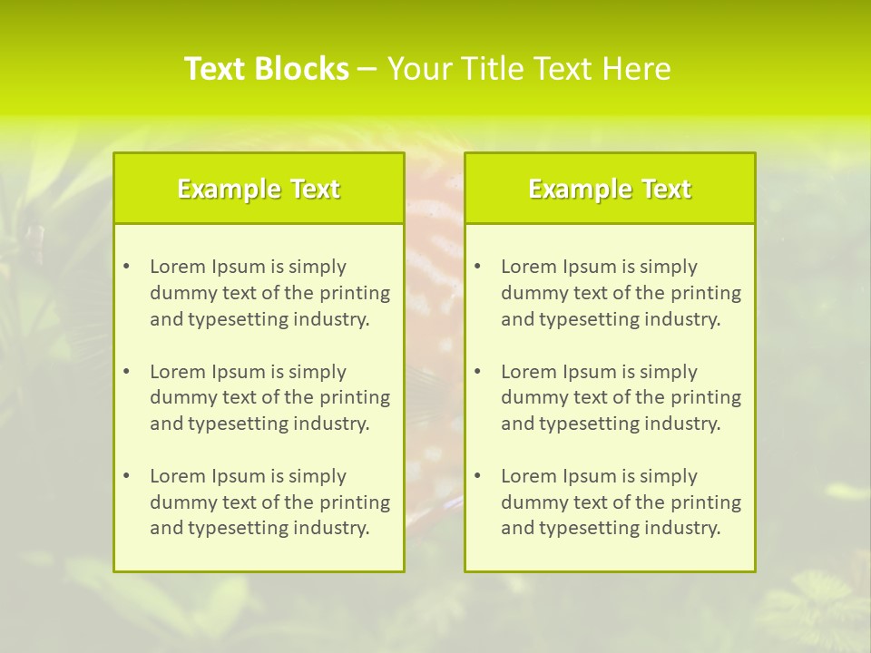 Underwater Wild White PowerPoint Template