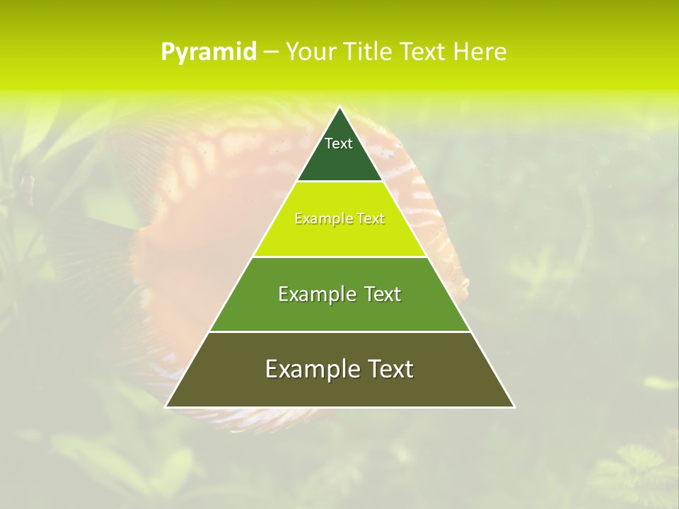 Underwater Wild White PowerPoint Template